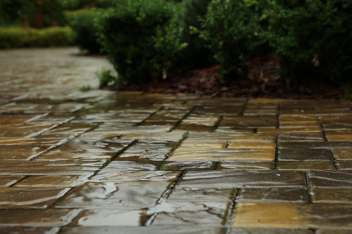 Wet pavers after Florida rain showing why sealing needs dry weather to cure properly