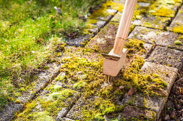 Professional weed removal and joint restoration in process on a Marion County patio