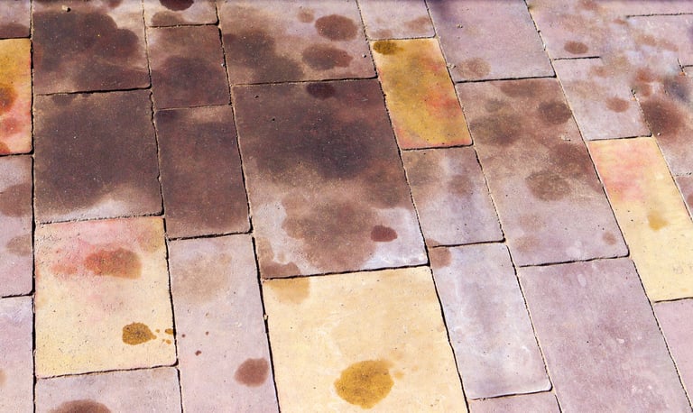 Cloudy white peeling paver sealer on a residential driveway in Marion County FL showing a failed seal job