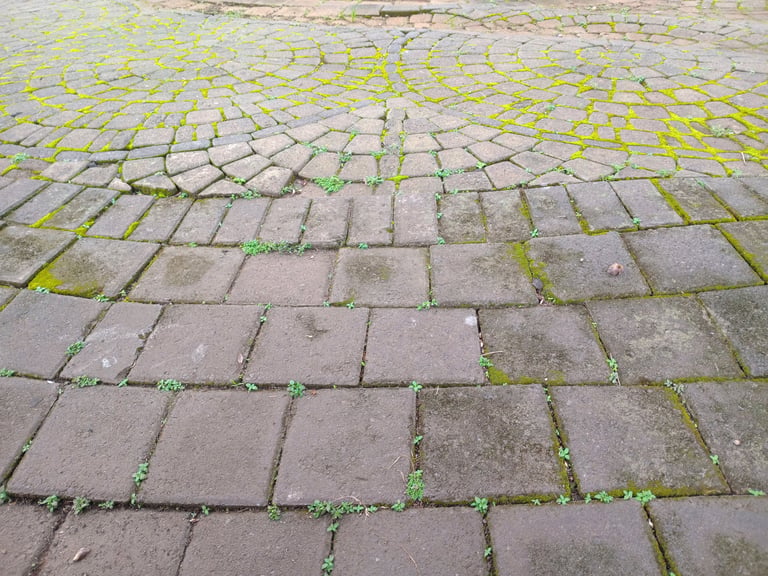 Weed-infested paver joints before professional treatment in Ocala FL
