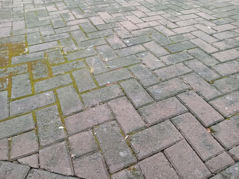 Orange rust-stained paver driveway edge from well water irrigation in Marion County FL before rust removal