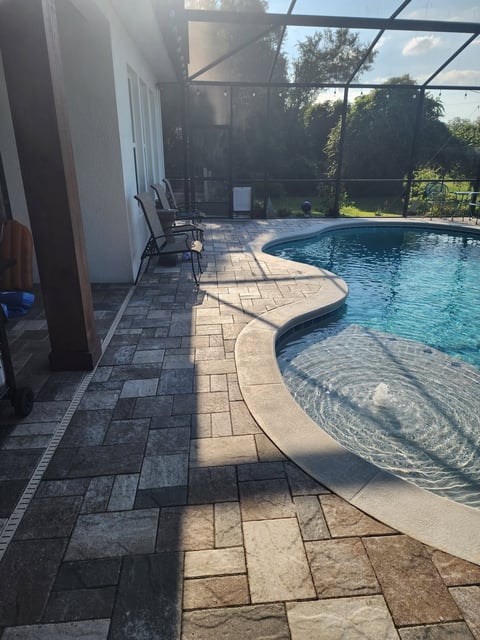 Modern pool deck with curved swimming pool, lounge chairs, paved patio, screened enclosure, and surrounding trees on a sunny day