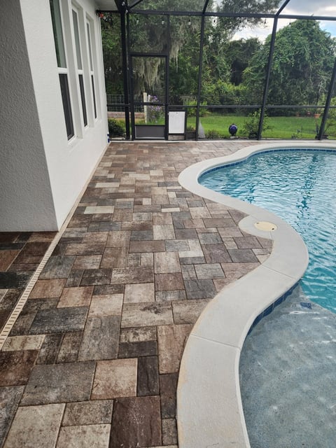 Modern backyard pool with herringbone paver patio, screened enclosure, and lush tropical vegetation view